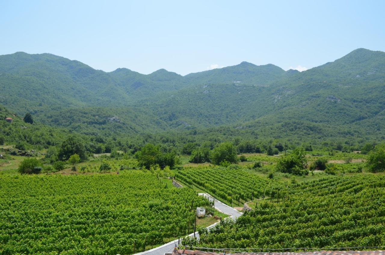 Markovic Winery And Estate Apartments Cetinje Ngoại thất bức ảnh